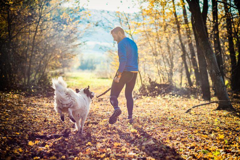 Pasear perro leishmaniosis